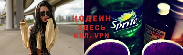 прущие грибы Алзамай