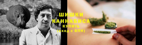 прущие грибы Алзамай
