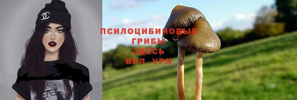прущие грибы Алзамай