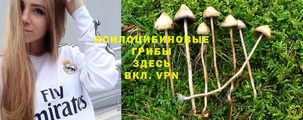 мяу мяу кристалл Арсеньев