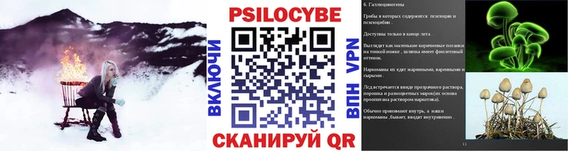 Псилоцибиновые грибы MAGIC MUSHROOMS  наркошоп  Глазов 